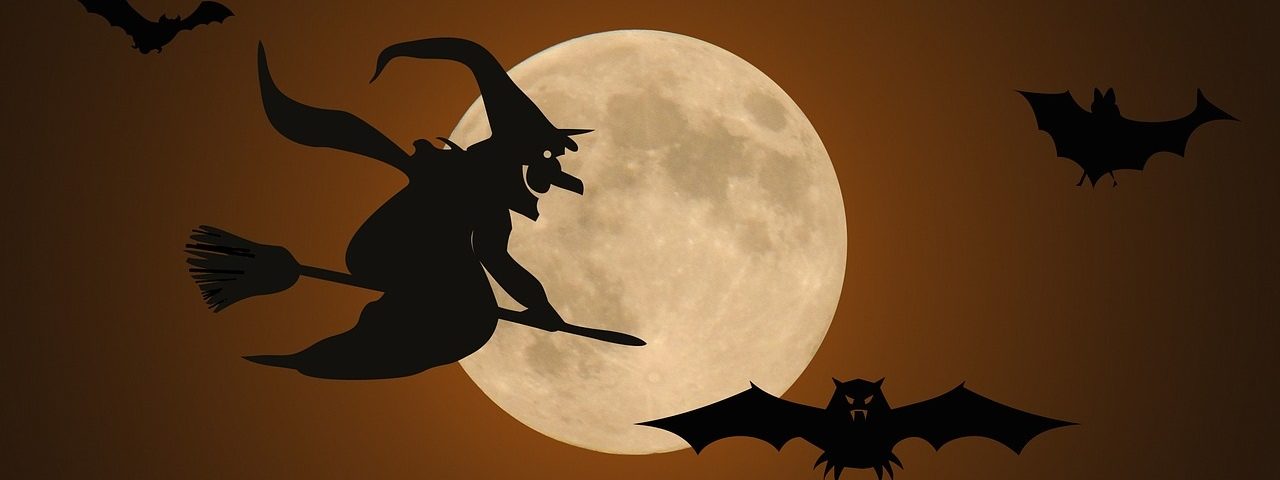 halloween-witch-bat